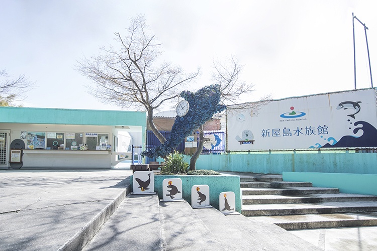 心温まるふれあいができる新屋島水族館