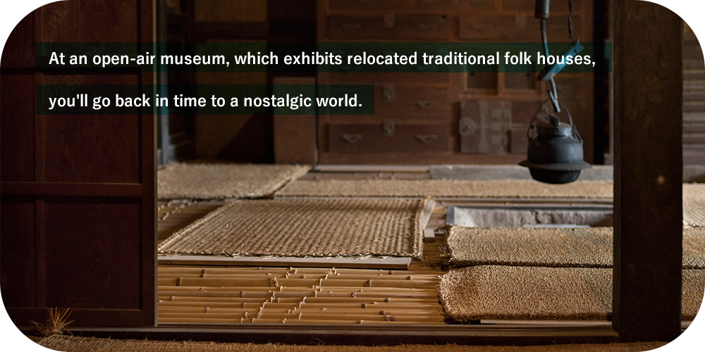 At an open-air museum, which exhibits relocated traditional folk houses, you'll go back in time to a nostalgic world.