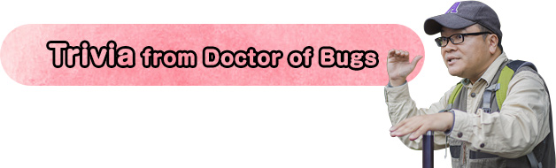 Trivia from Doctor of Bugs