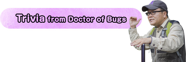 Trivia from Doctor of Bugs