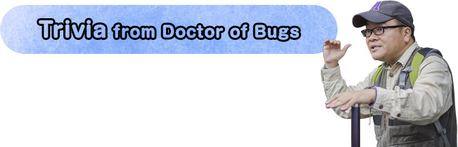 Trivia from Doctor of Bugs