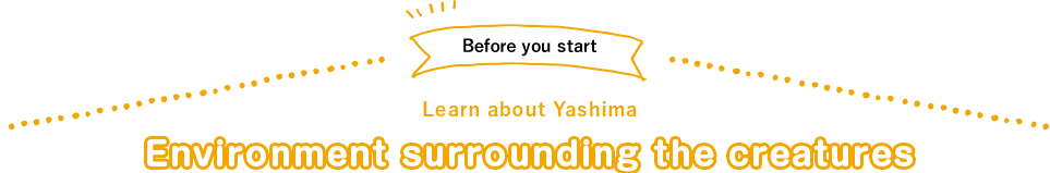 Learn about Yashima before you start. Environment surrounding the creatures
