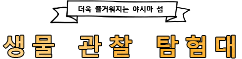 더욱 즐거워지는 야시마 섬 생물 관찰 탐험대