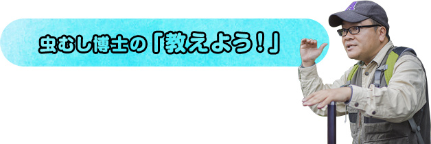 虫むし博士の「教えよう！」