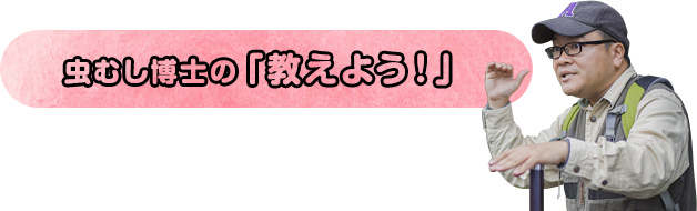 虫むし博士の「教えよう！」