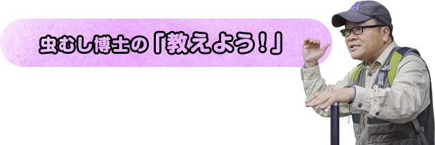 虫むし博士の「教えよう！」