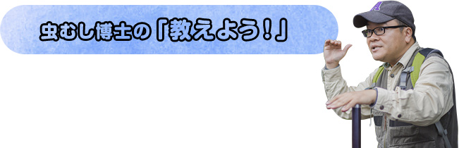 虫むし博士の「教えよう！」