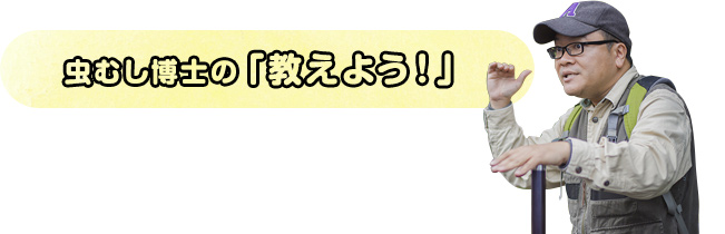 虫むし博士の「教えよう！」