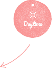 Daytime